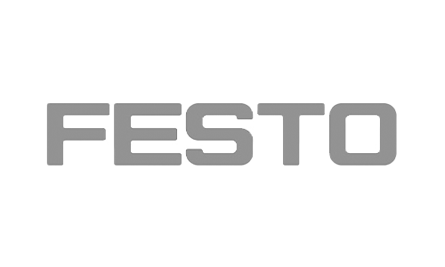 ds festo